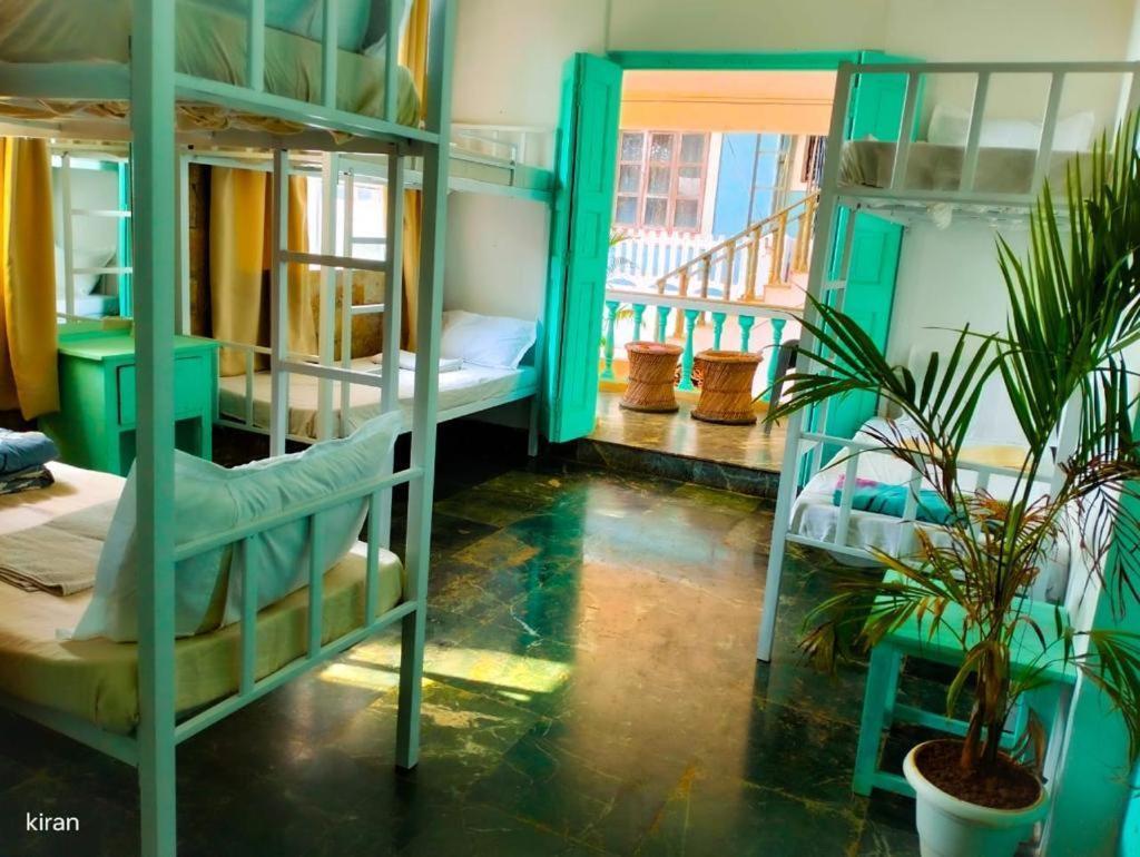 Turquoiise House Hotel Morjim Bagian luar foto