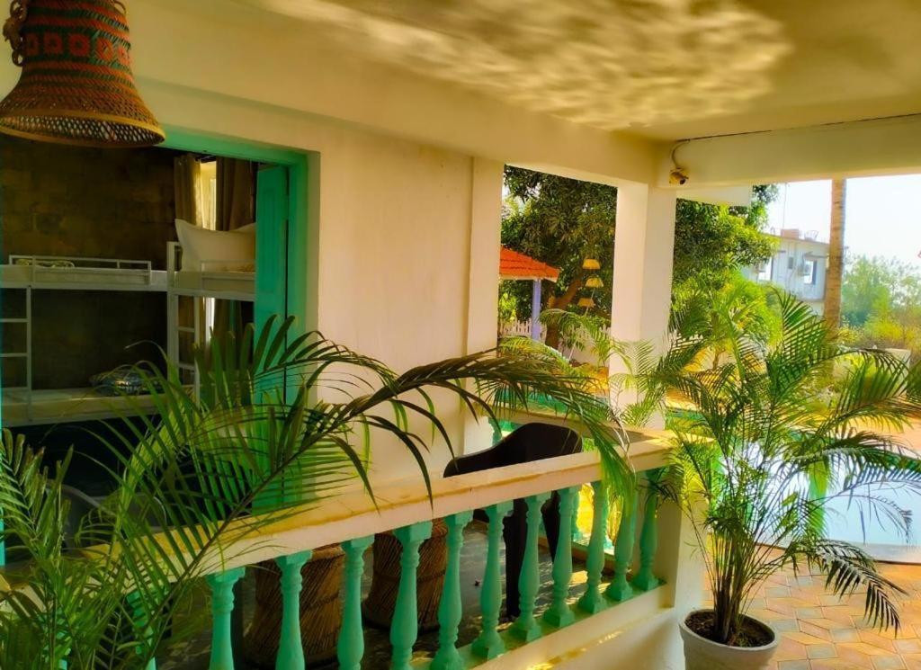 Turquoiise House Hotel Morjim Bagian luar foto